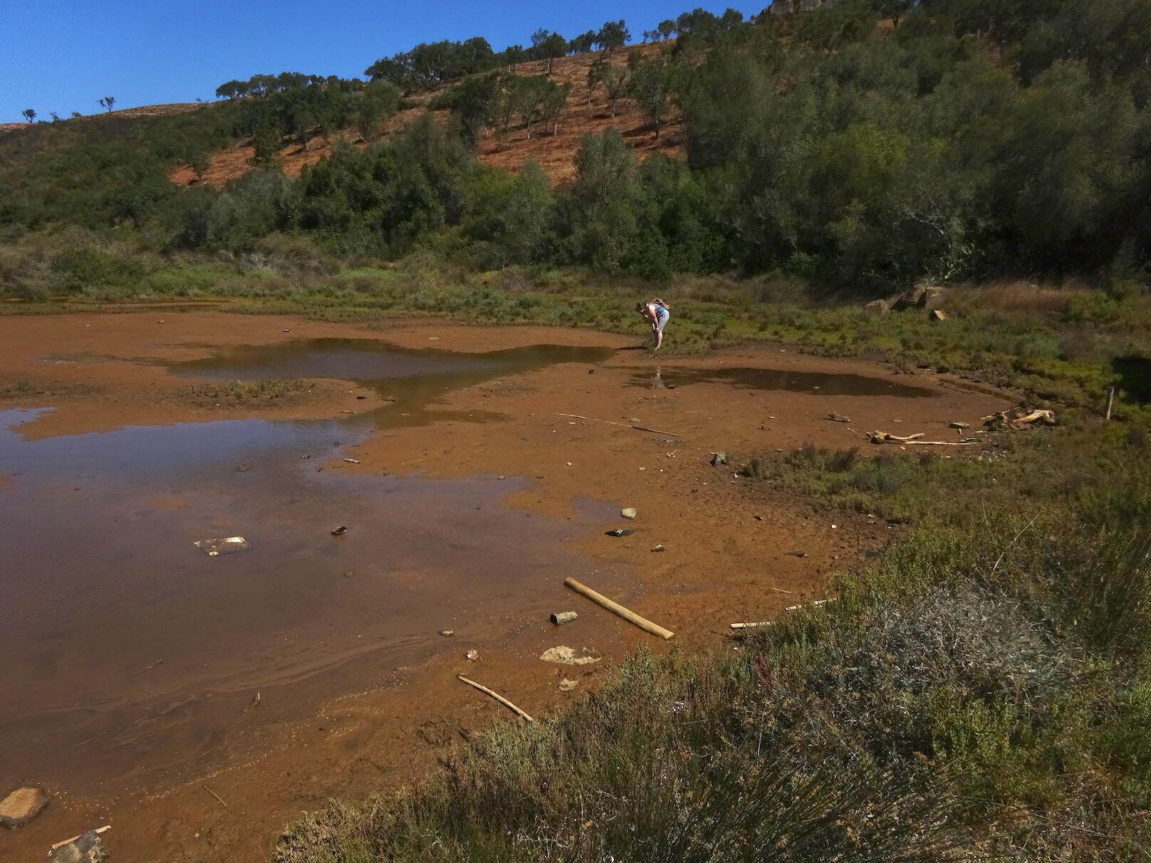 wetlands